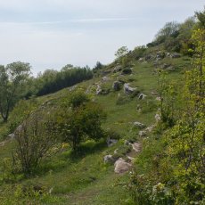Warton Crag - The Climb to the Top