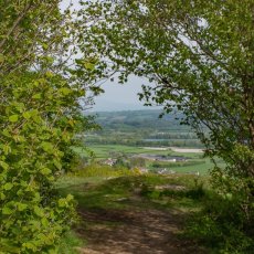 Warton Crag - The Path Back Down