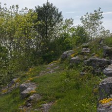 Warton Crag - The Route to the Top
