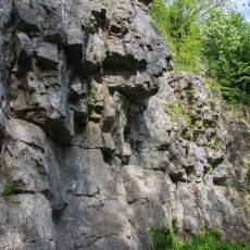 Warton Crag - The Crag Face