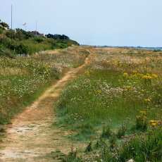 The Path to East Wittering