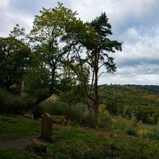 A Brutal Murder,  Hindhead Common