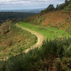 Hindhead Common