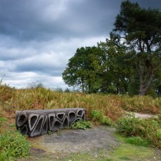 Hindhead Common