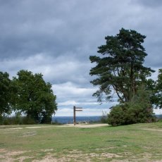Hindhead Common