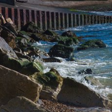 Sea Wall and Foreshore