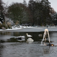 Winter at Eastrop Park
