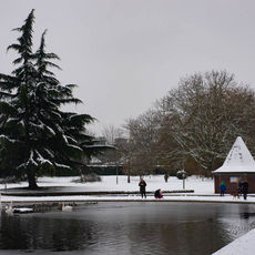 Winter at Eastrop Park