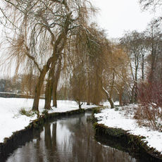 River Loddon at Eastrop
