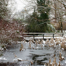 Winter at Eastrop Park