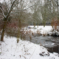 Winter at Eastrop Park