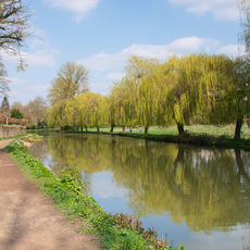 Reflections on Wey Navigations