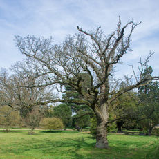 Ickworth