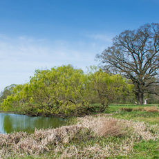 Ickworth