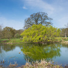 Ickworth