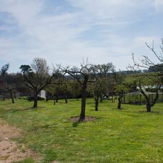 Ickworth