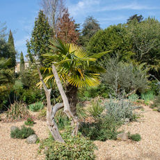 Ickworth