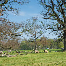 Ickworth