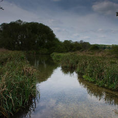 At Stockbridge Marshes