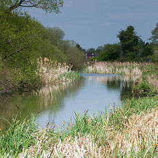 The River Test near Stockbridge
