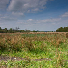 Stockbridge Marshes
