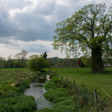 Stockbridge Marshes