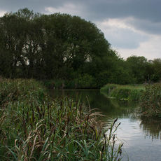 Stockbridge Marshes