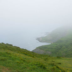 Misty Morning at St Aldhelm's Head