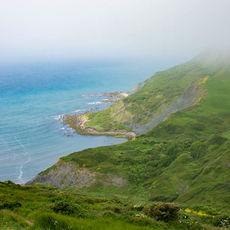 View from St Aldhelm's Head