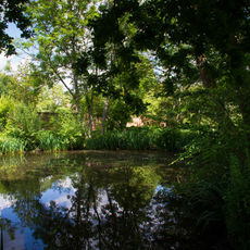 The Lake at the Centre of the Informal Gardens