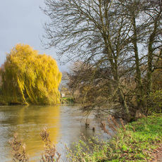 Late Autumn Colours