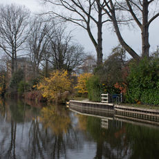 River Kennet near Blake's Lock