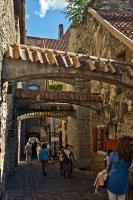 05 Tallinn  August 2015  057