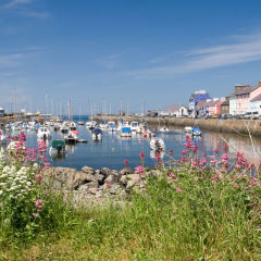 Aberaeron