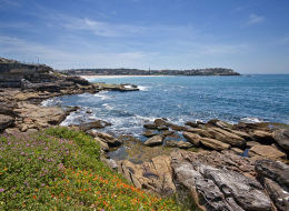 Bondi Coastal Path