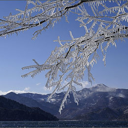 Ice Branches. Lake Chuzenji. Japan.