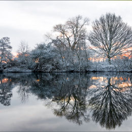 Just Dawn. Winter 2010.