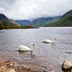 Wast Water