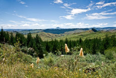 Across North Island - New Zealand.