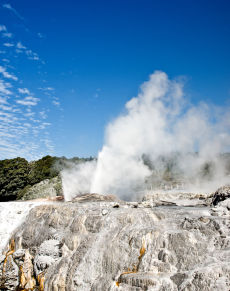 Te Puia Geyser - Rotorua