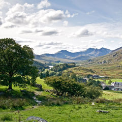 Snowdonia View