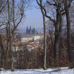 Prague Cathedral
