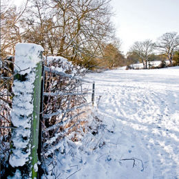 The Ever Open Gate. Winter 2010.