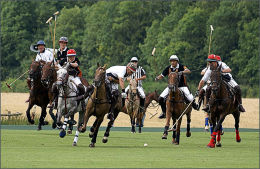 The Polo Match.