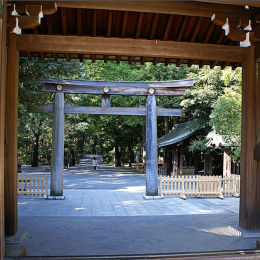 Shinto Temple Tokyo