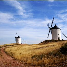 Windmill's Of La Mancha.