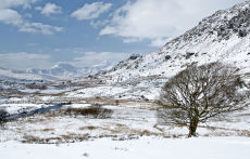 Snowdonia  Spring