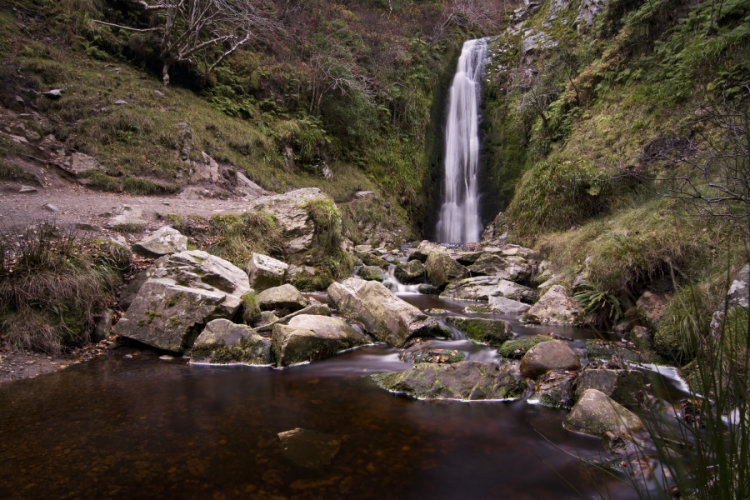 Glenevin
