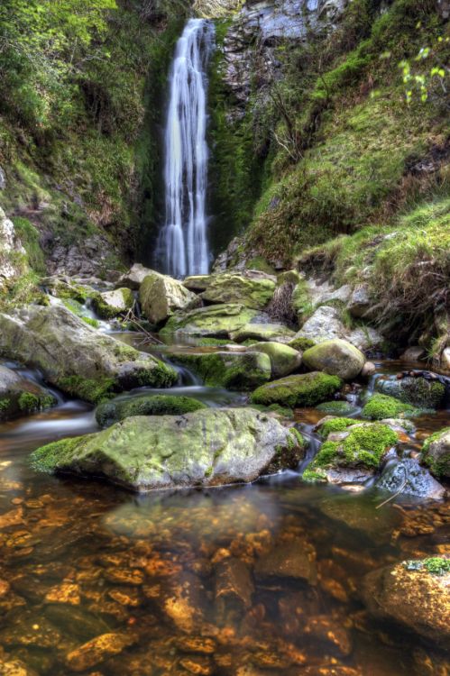 The falls
