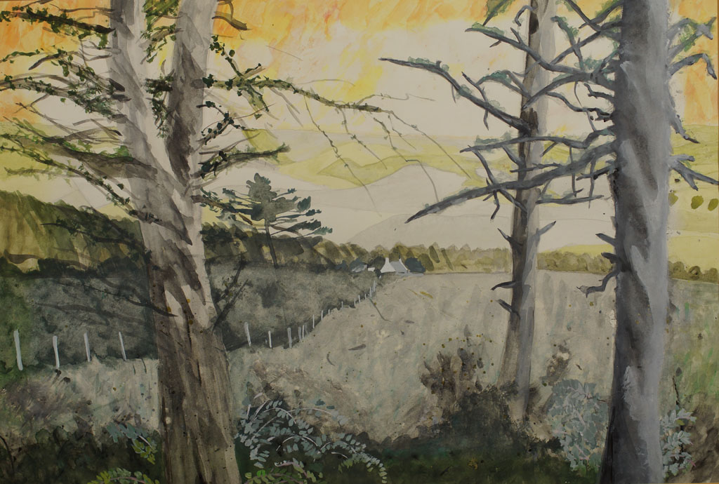 Daybreak in a Scottish Glen